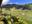 View from Sporthotel Floralpina, Alpe di Siusi, Dolomites, Italy