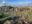 Roman Forum, Rome, as part of the 2-week Italy itinerary