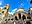 Amalfi Cathedral in October, Amalfi Coast, Italy
