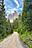 Hiking trail, Geisler Alm